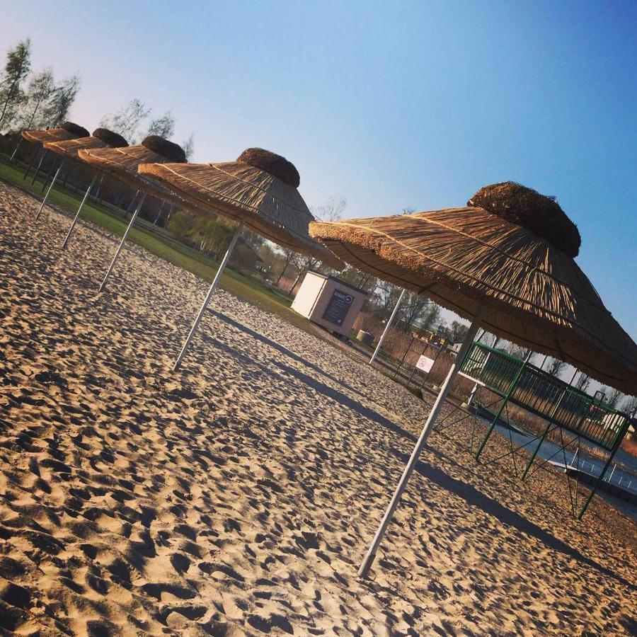 Camping Oaza Blonie Kornik Domki Standard Plus - 3 Pokoje מראה חיצוני תמונה